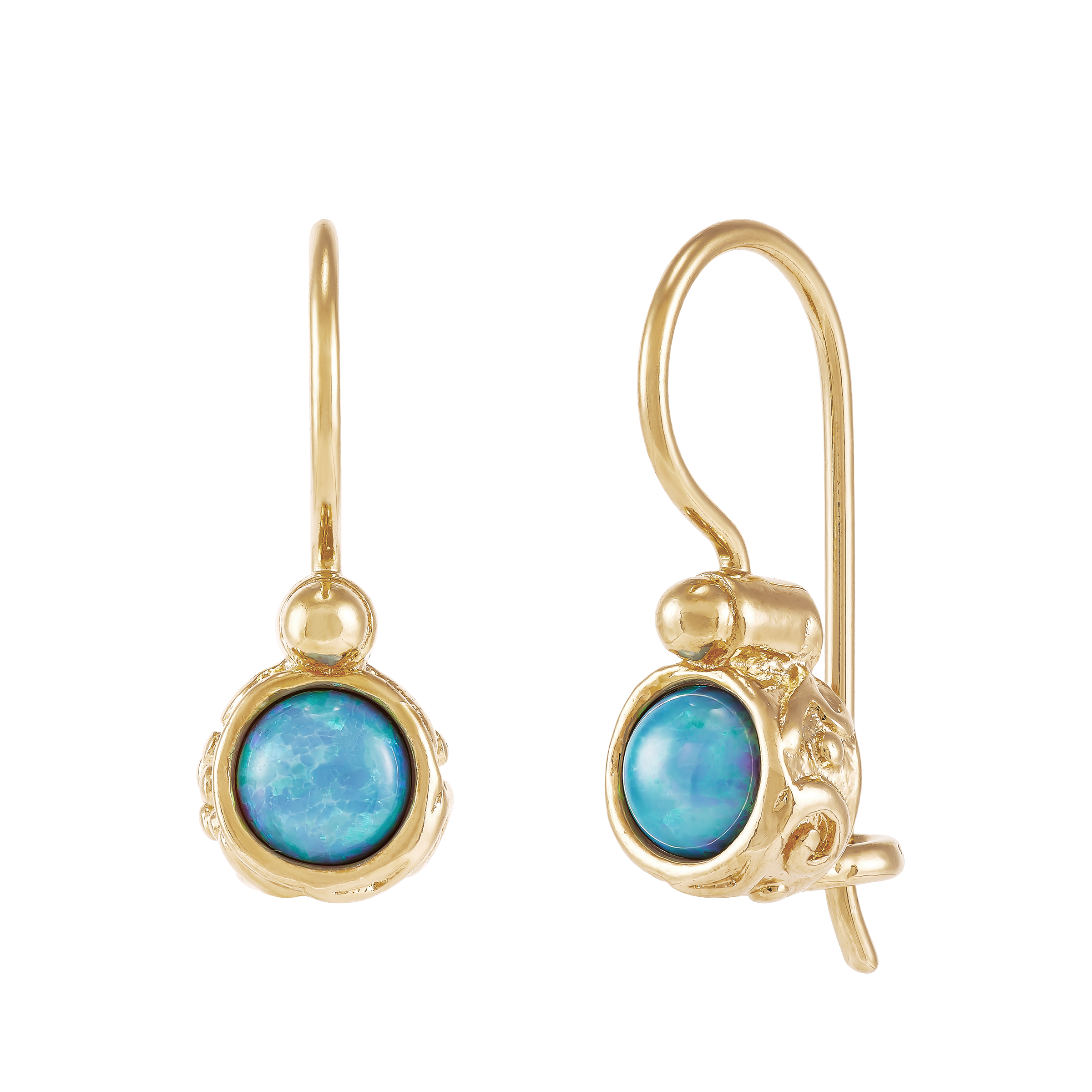 Precious Pair Drop Earrings